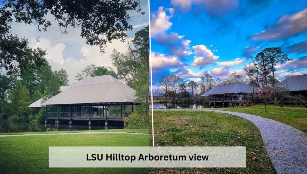 LSU Hilltop Arboretum, date night ideas in Baton Rouge